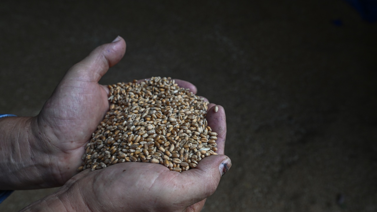 Има ли промяна в цената на основните зърнени стоки на световните пазари
