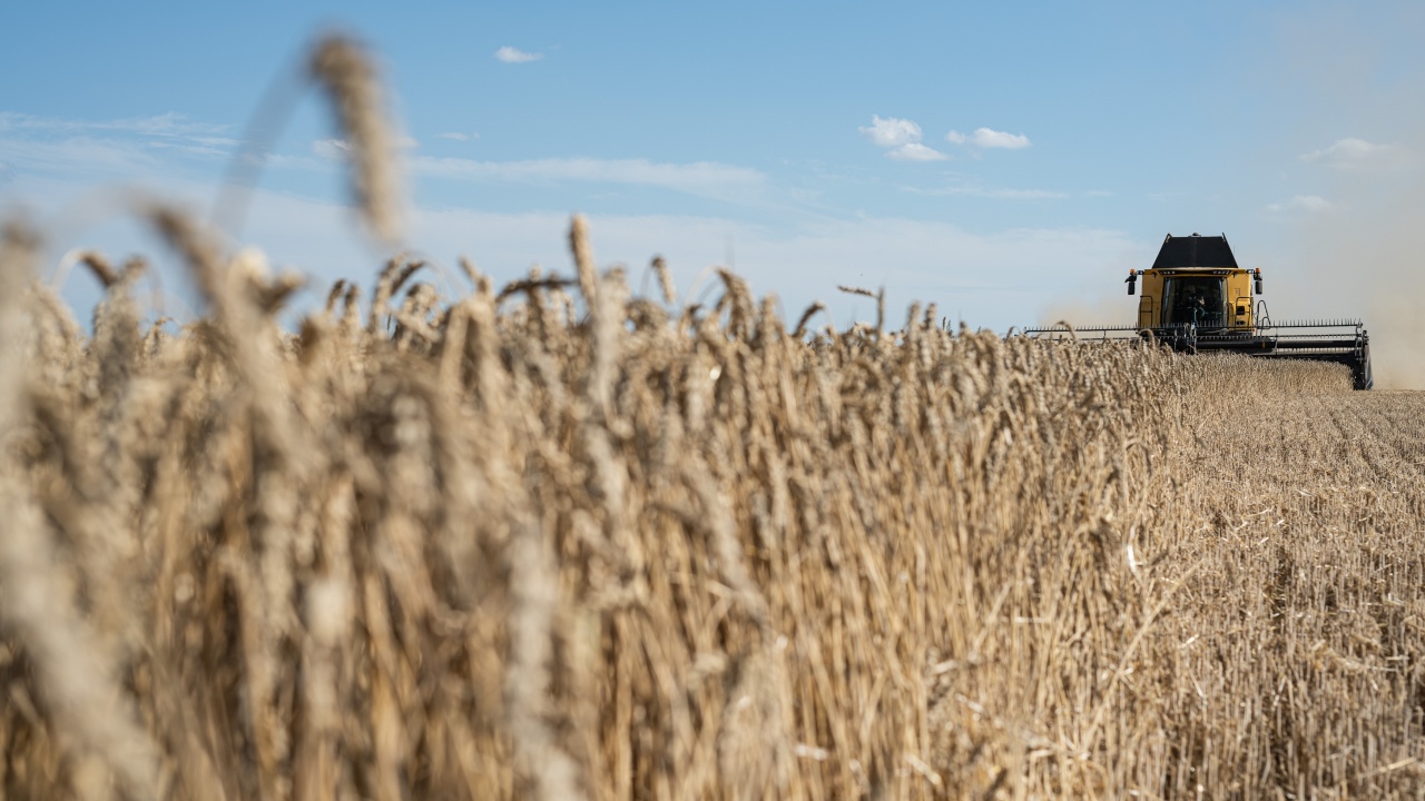 Зърнопроизводителите настояват за среща с властта заради проблемите в сектора