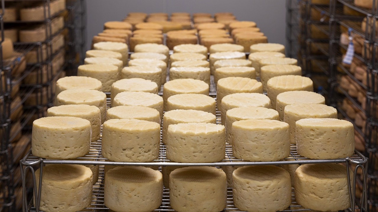 „Ел Би Булгарикум“ увеличава цените на сиренето и кашкавала с повече от 50%