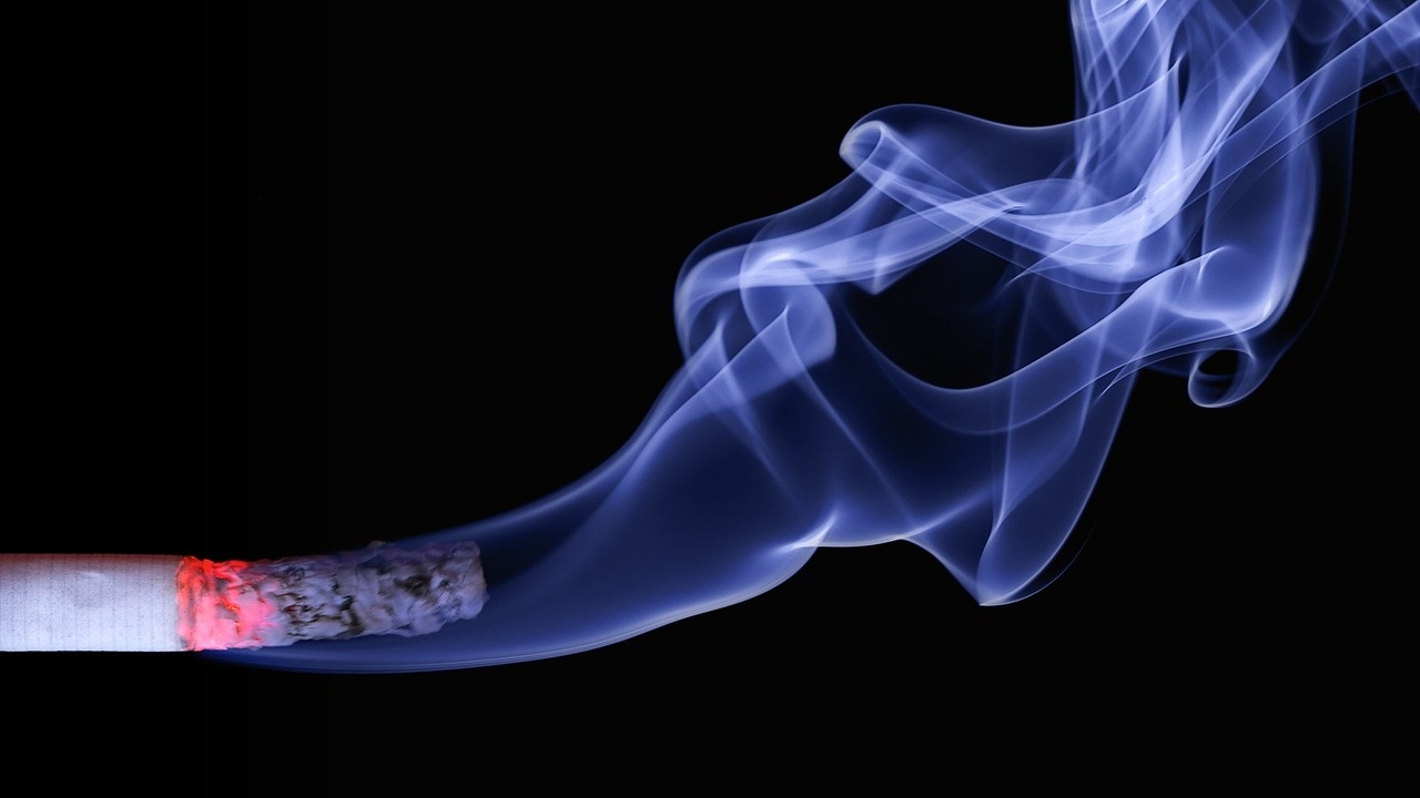 СЗО:До 2030 г. Европа може да стане лидер в пушенето
