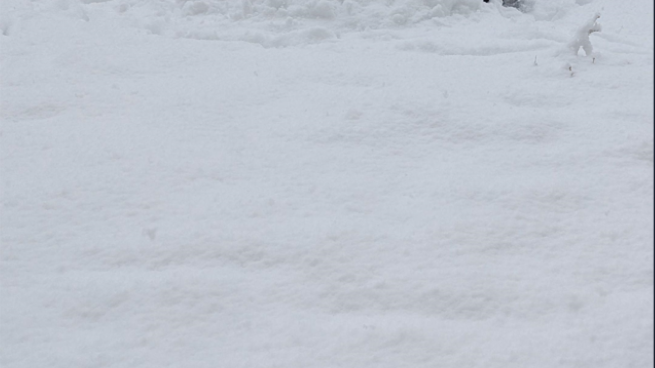 Васил Терзиев глоби фирмите с над 140 000 лв. заради непочистен сняг в столицата