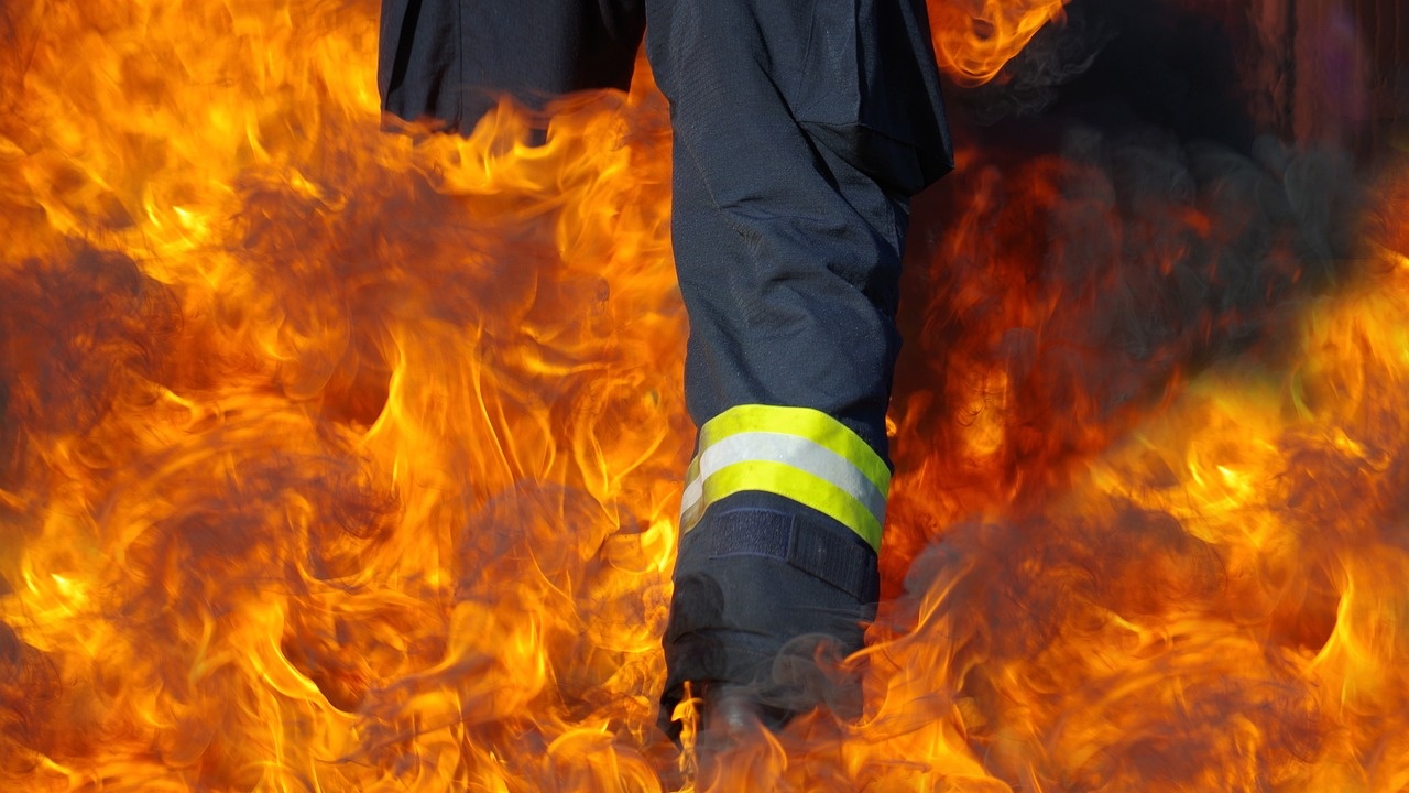 51 пожара са ликвидирани в страната през последното денонощие