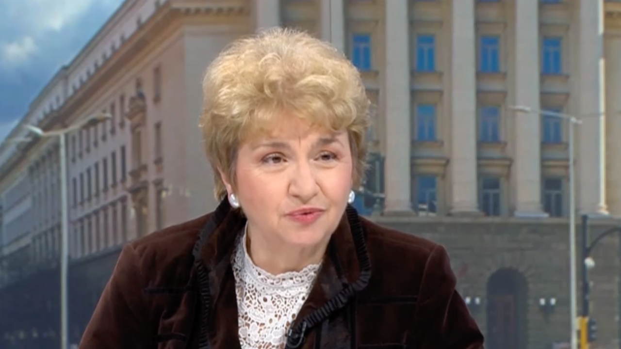 Меглена Плугчиева: Случващото се в Германия ще се отрази негативно и в България
