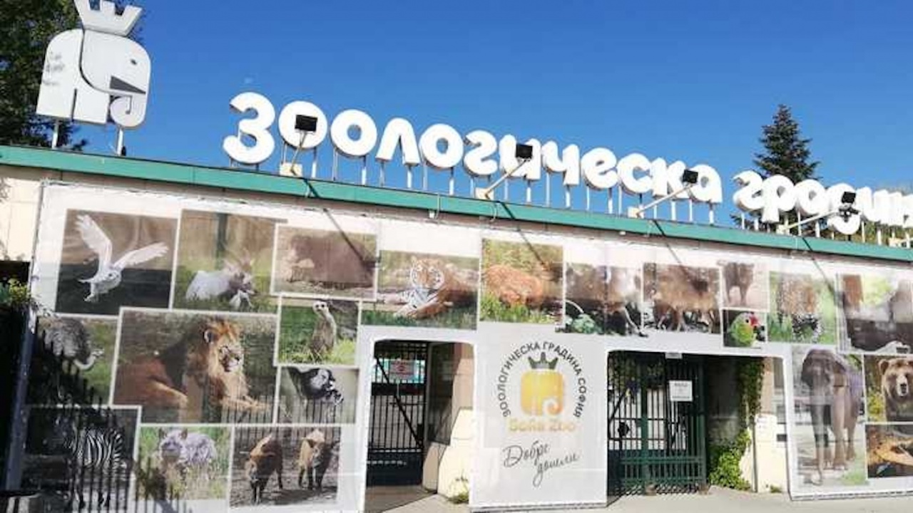 Монтираха първия автоматичен дефибрилатор в Софийския зоопарк