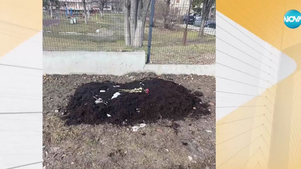 Гроб на път за училище и детска градина ежедневно ужасява деца в София