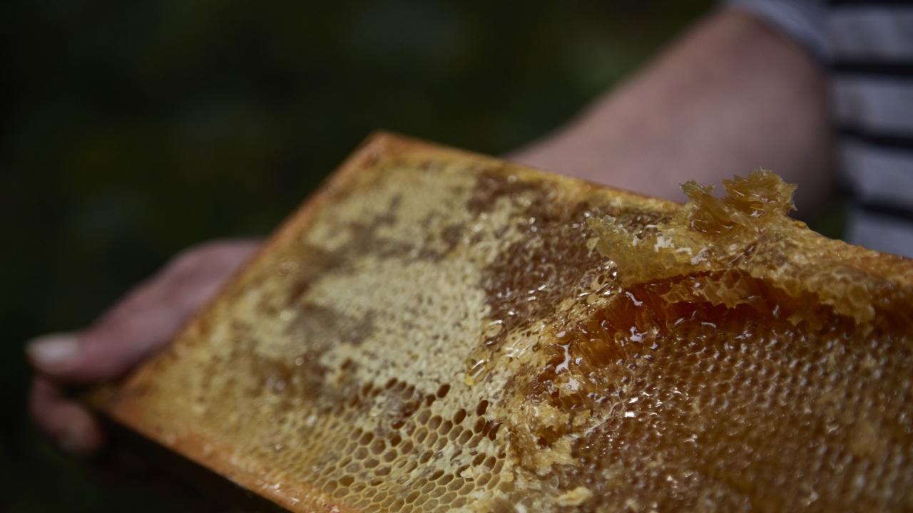 ЕС с предварително споразумение за по-ясно обозначаване на страната на произход на меда