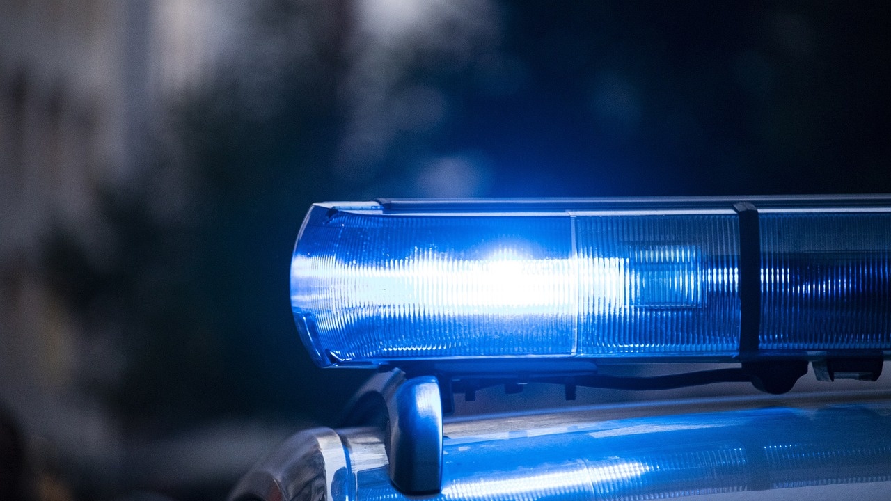Жена нападна полицаи в Плевен