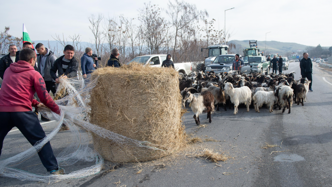 Кози, бали слама и трактори блокираха АМ "Струма"
