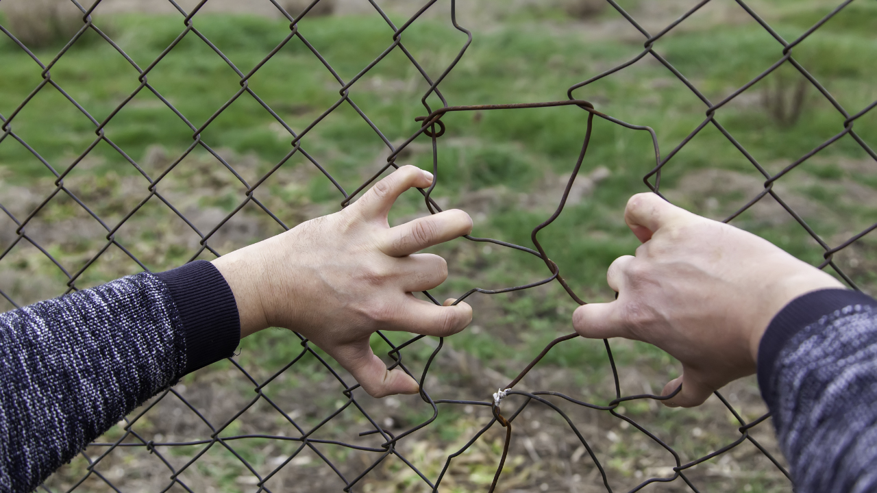 За една седмица: Близо 300 нелегални мигранти край Одрин