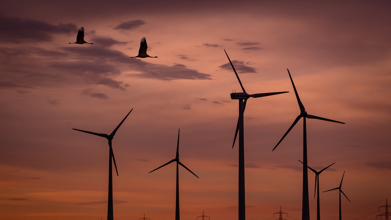 2023 година е била рекордна за вятърната енергия в ЕС