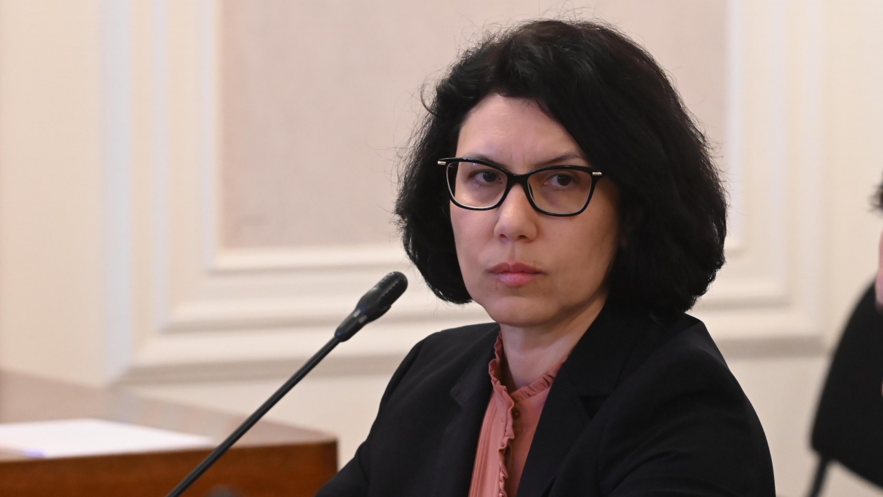 Катя Матева (директор на дирекция „Българско гражданство“): Има масово фабрикуване на документи, с които се кандидатства за българско гражданство