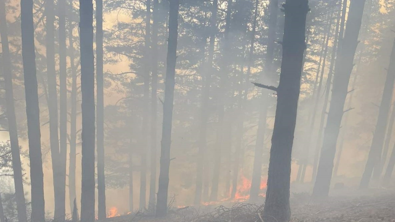 Голям пожар избухна край Сатовча