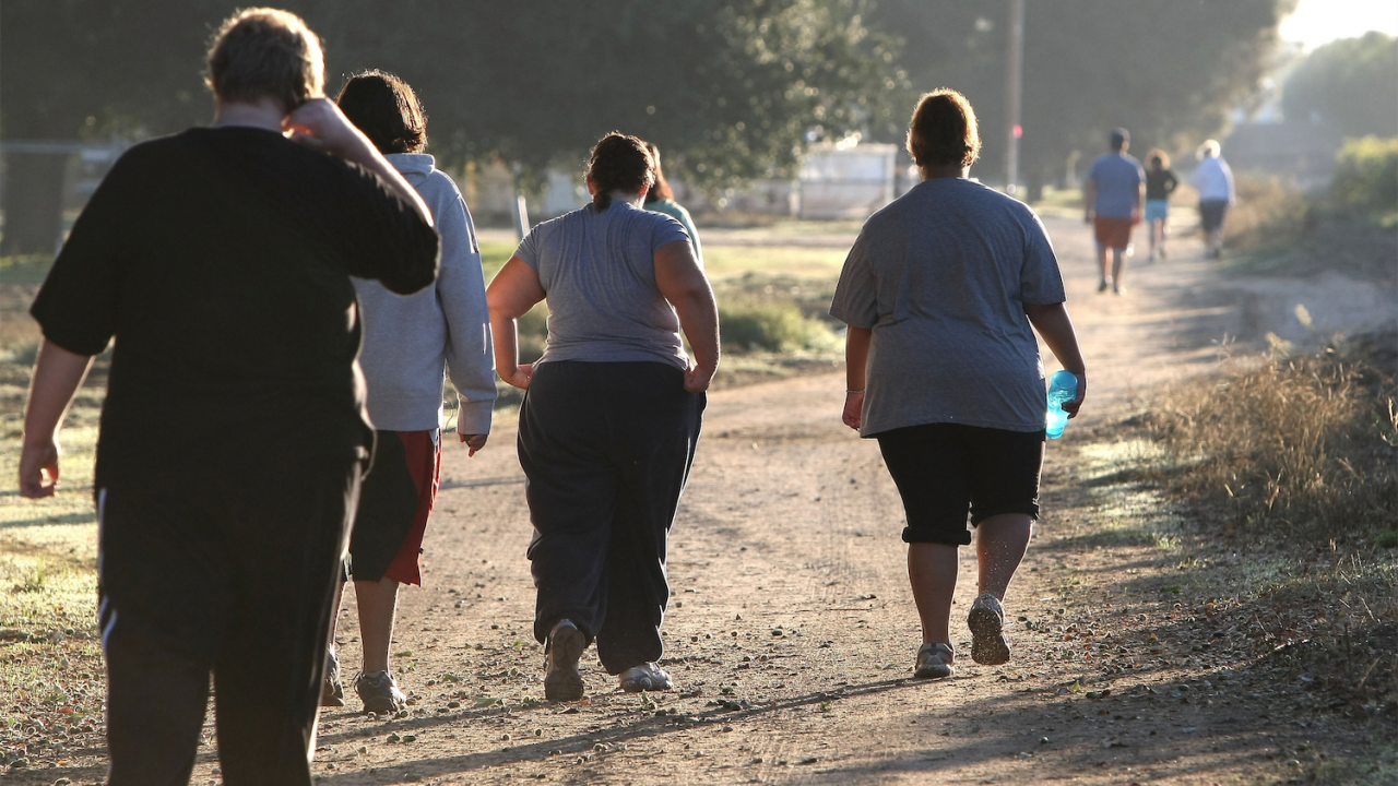 Повече от един милиард души в света страдат от затлъстяване