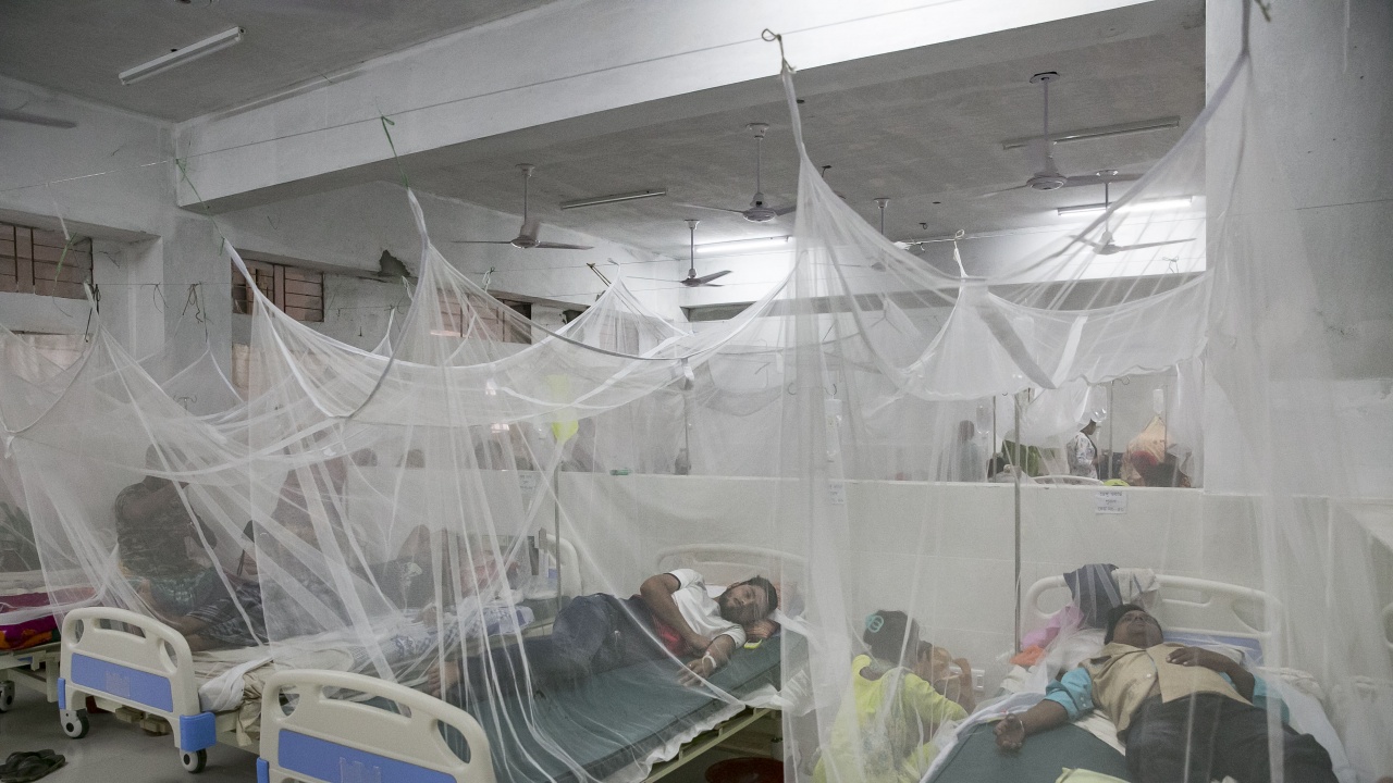 Над милион заразени с денга в Бразилия