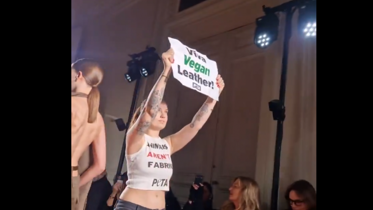 "Животните не са плат": Активисти прекъснаха модното шоуто на Виктория Бекъм в Париж