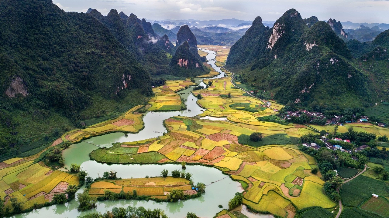 Южен Виетнам стратегически район за отглеждането на ориз преживява необичаен