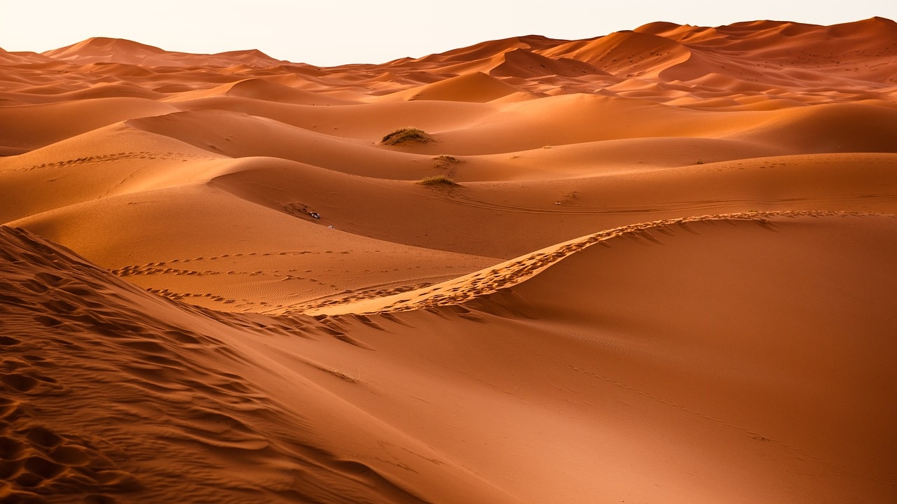 Учени разкриха тайните на звездните дюни