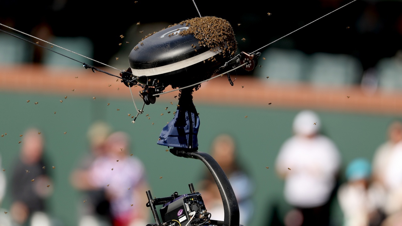 Четвъртфиналът от тенис турнира в Индиън Уелс (САЩ) между Александър Зверев