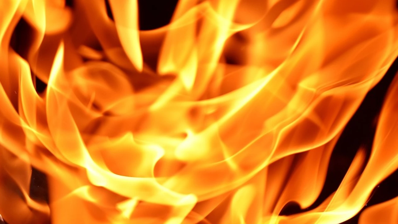Общо 84 пожара са ликвидирани на територията на страната през