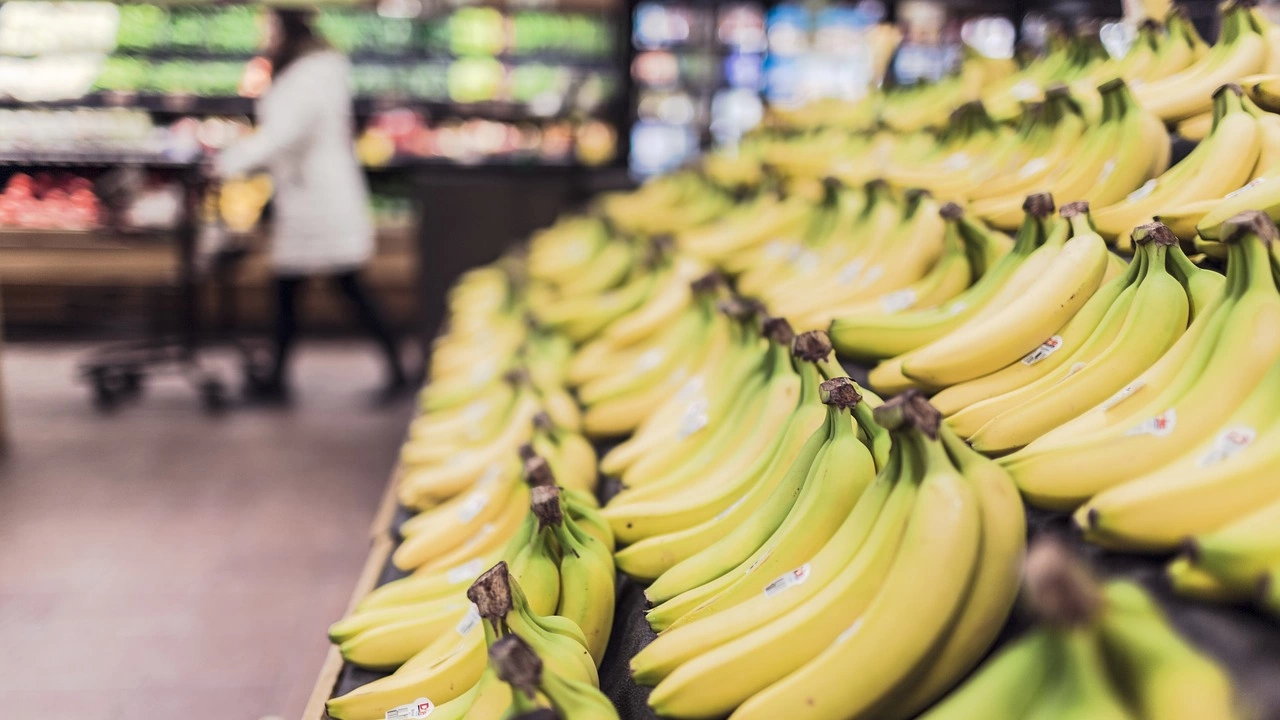 Бананите ще увеличат цената си заради климатичните промени предупредиха експерти