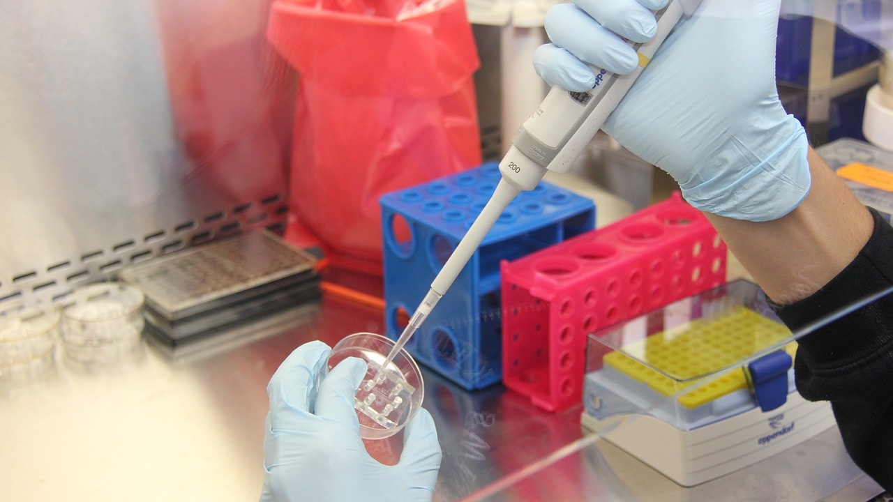 Изследователи са елиминирали ХИВ от клетки в лабораторни условия, което
