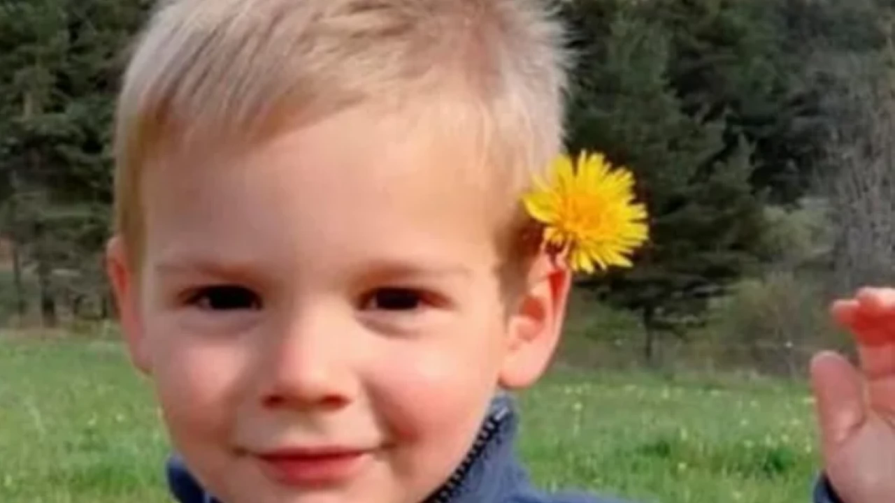 Разхождащ се човек откри тялото на 2 годишния Емил от Франция