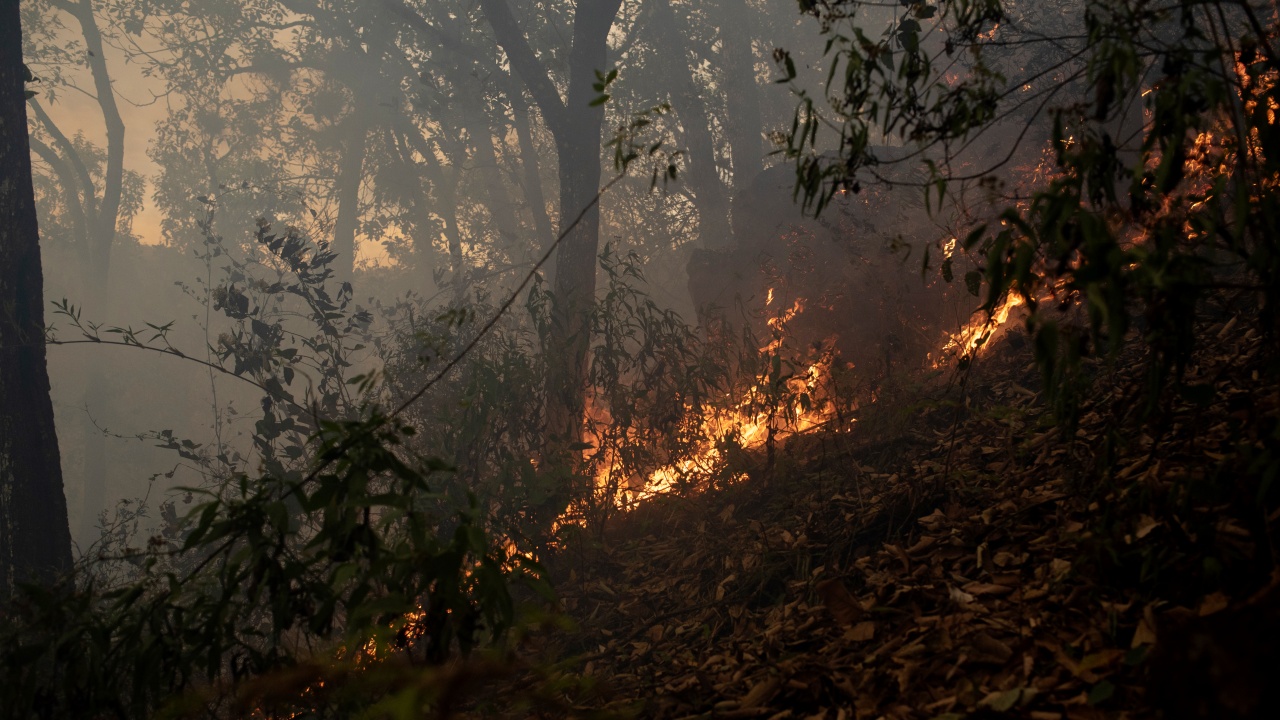 На гръцкия остров Крит днес бушува горски пожар и властите