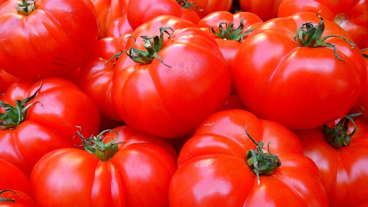 19 опасни вещества бяха открити в турски домати закупени в