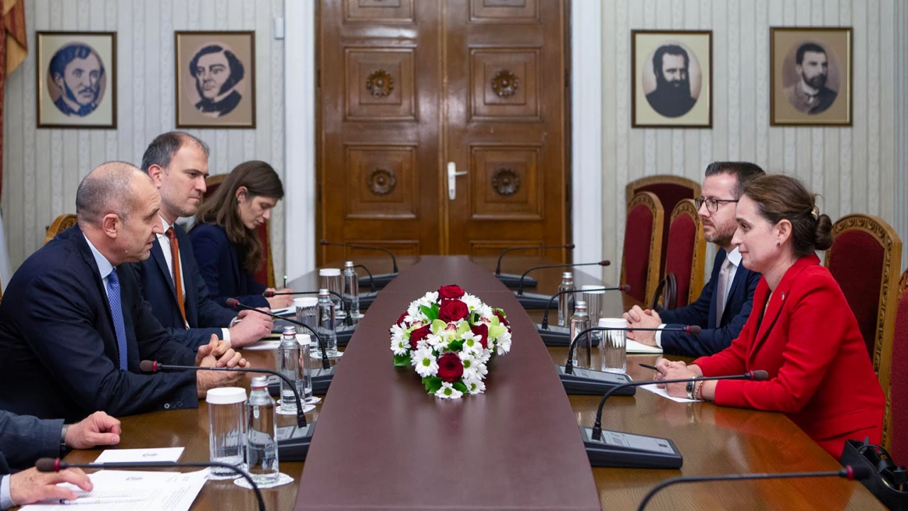 Президентът проведе среща с новия ръководител на Представителството на Европейската