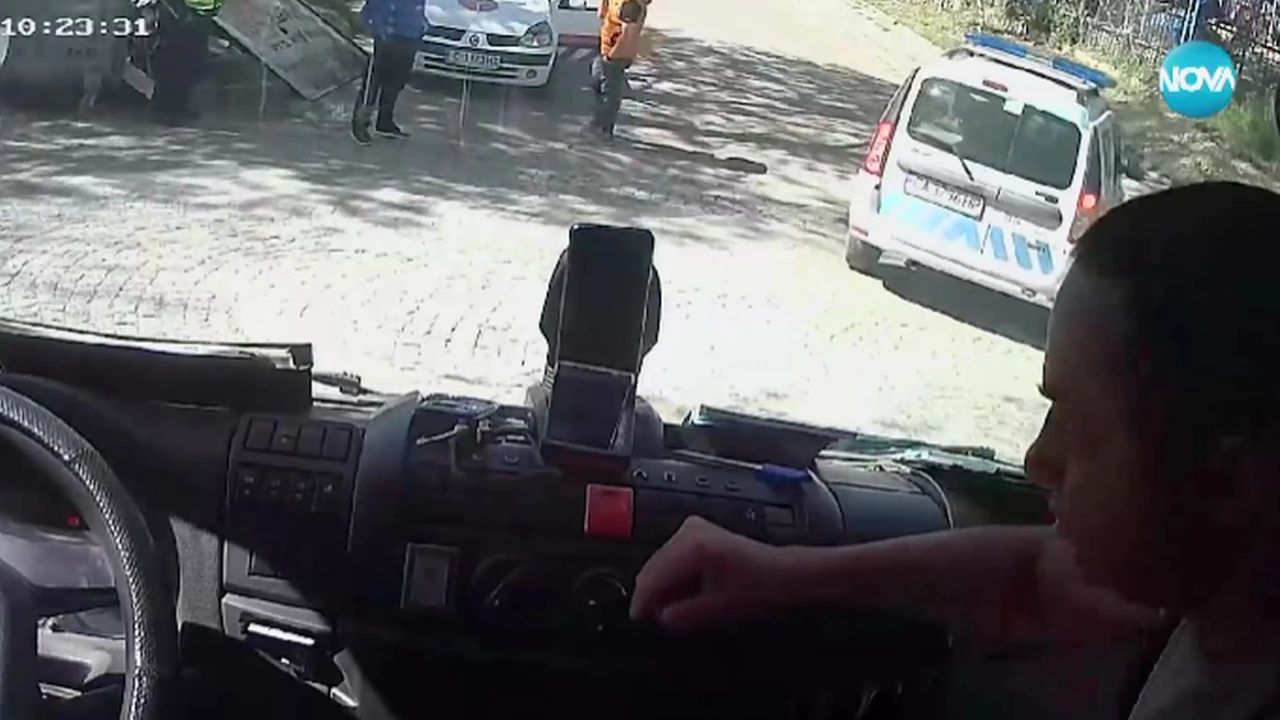 Куриозен случай от Пловдив Паяк вдигна колата на служител на