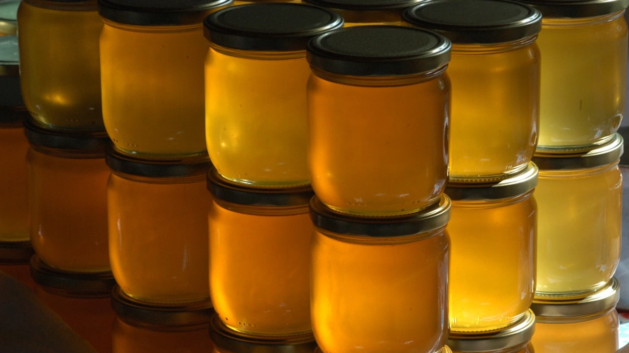 Производителите на манов мед в Странджа планина очакват добри добиви
