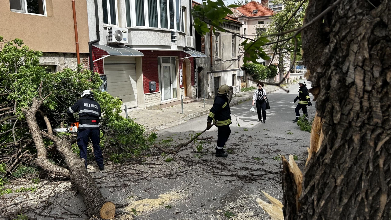 Силен вятър събори дърво върху къща в Хасково Инцидентът стана
