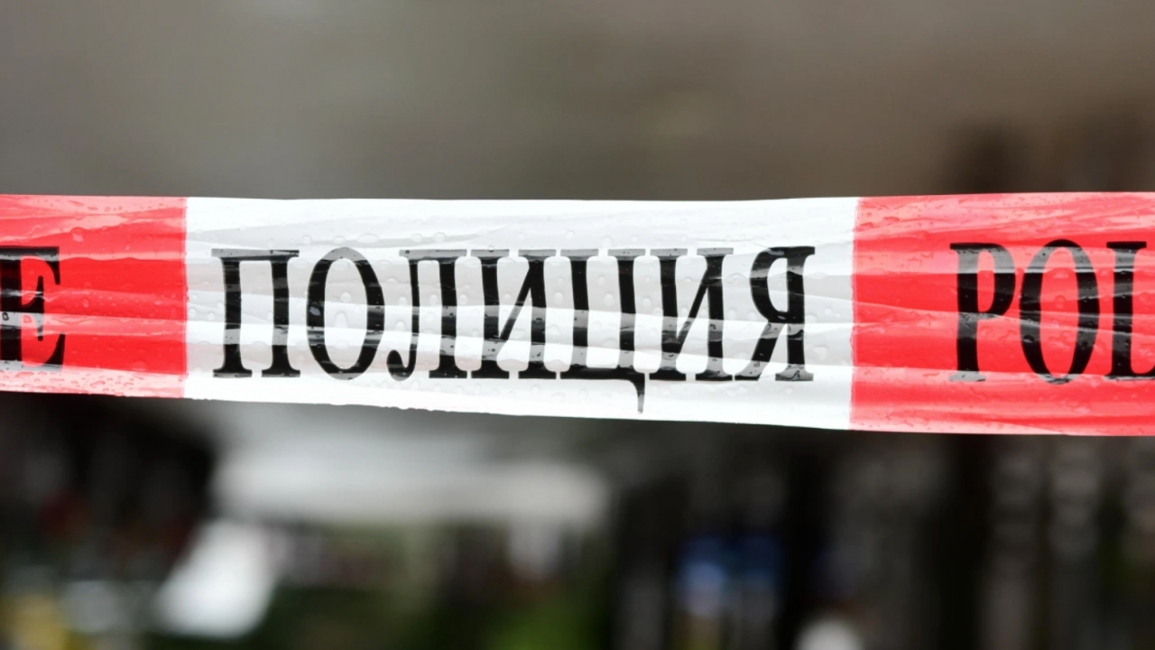 Убийството в парк в Добрич: Обвиненият е вменяем и може да носи наказателна отговорност