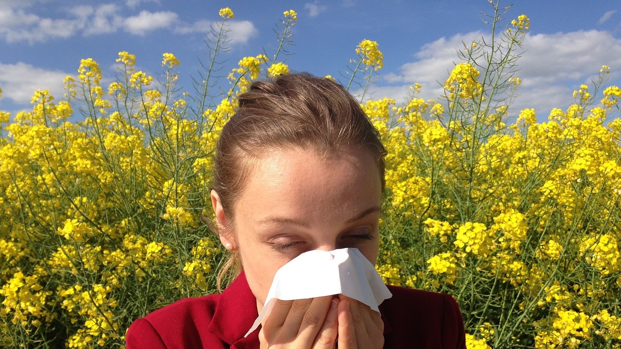 Доктор: Голям процент от болните с поленова алергия имат кръстосана алергия