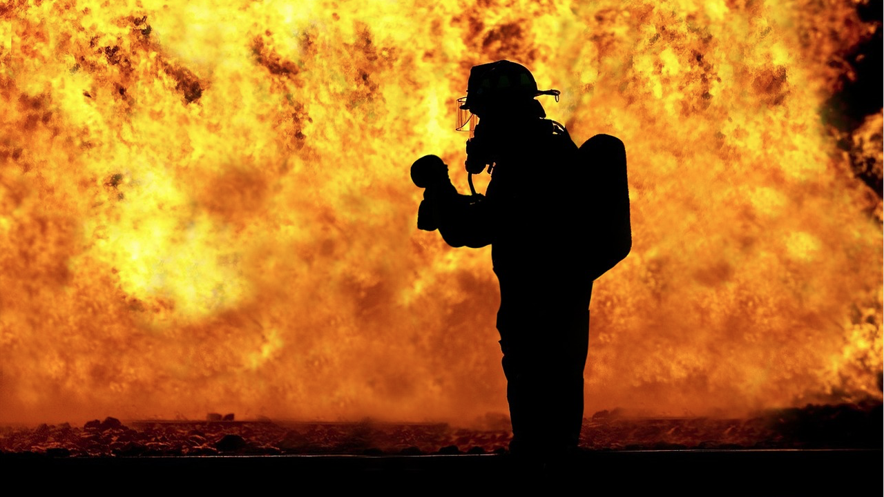 Общо 23 пожара са ликвидирани в страната през последното денонощие