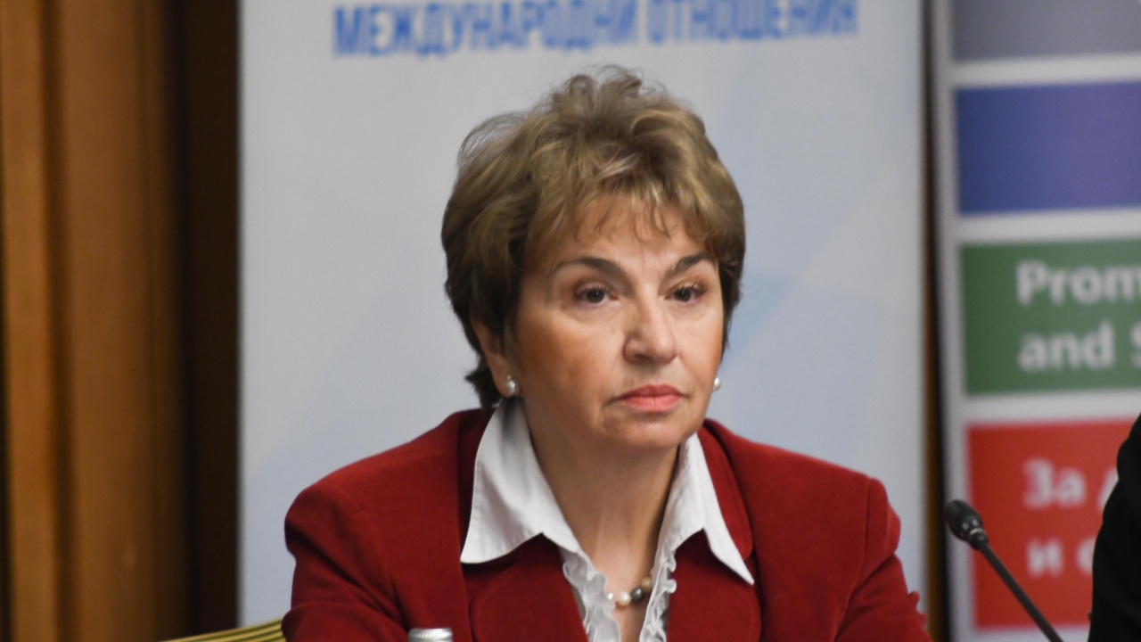 Плугчиева, дипломат: По темата "Кризи" сме като скачени съдове с ЕС