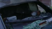 Палят коли заради застрояване на детска площадка в София