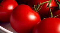 Зам.-министър на земеделието: Българският домат няма да изчезне