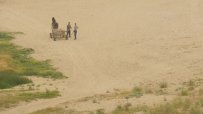 Роми крадат пясък от плажа в Синеморец
