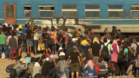 44 000 гладни бежанци на 200 км от София