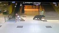 Руски полицаи застреляха мечка в мол