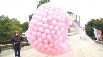 1200 розови балона полетяха в небето над София