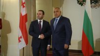 Борисов: България ще помага на Грузия в пътя й към ЕС