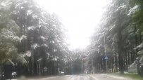 Майски сняг покри Сърбия и Черна гора