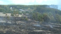 Голям пожар горя в района на Нови Искър