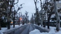 Снегът блокира Гърция
