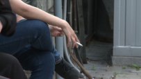 България е европейски първенец по активни пушачи