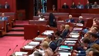 Крайнодясна депутатка носеше бурка в австралийския парламент