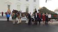 Мелания Тръмп посрещна коледното дърво в Белия дом