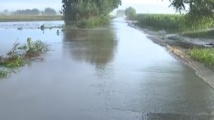 Река Чая преля, стотици декари земеделски земи са наводнени 